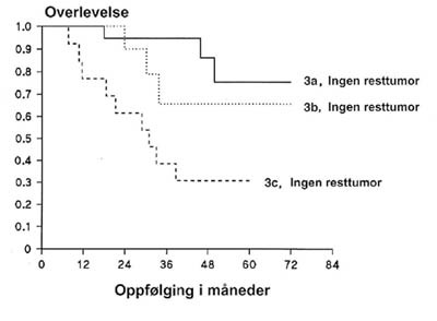 Figur 2  Overlevelseskurver for pasienter med FIGO-stadium 3a, 3b og 3c uten resttumor etter prim&aelig;rkirurgi (20)