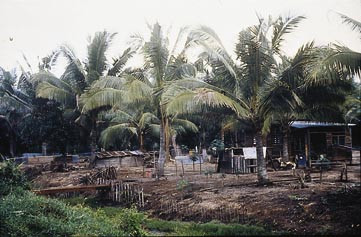 Figur 3  Bosetning av fattige familier p&aring; landsbygden i Malaysia i n&aelig;rheten av forurenset bekk. Mennesker har i millioner av&hellip;