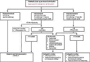  Figur 1    Anbefalte retningslinjer for initial h&aring;ndtering av minimale, lette og moderate hodeskader