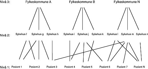  Figur 3    Prinsippskisse over flerniv&aring;modell. Data om pasienter p&aring; niv&aring; 1, data om sykehus p&aring; niv&aring; 2 og data om&hellip;