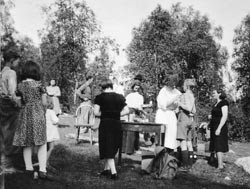  Figur 8    TAB-vaksinering (Ciss Robert) p&aring; Skogfoss i Pasvikdalen. Infraklavikul&aelig;r subkutan injeksjon ble foretrukket&hellip;