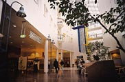 Figur 11    Hovedkorridor med Syden-konnotasjoner ved det nye Rikshospitalet i Oslo. Foto &Oslash;. Larsen 2000
