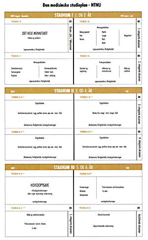 Figur 1    Det nye medisinstudiet i Trondheim legger vekt p&aring; at s&aelig;rlig innf&oslash;ringssemesteret skal dreie seg om &rdquo;Det hele&hellip;