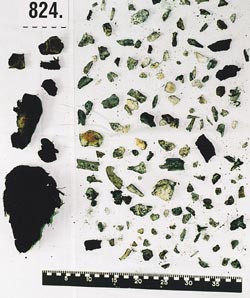 Figur 3 Sorteringsarbeidet avdekker knokkel- og muskelfragmenter samt noen eiendeler av metall