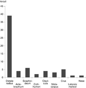  Figur 4    Antall ulike bruddtyper ved rullesk&oslash;yte-/rullebrettskader