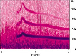  Figur 3    Spektrogram med pipelyd hos en pasient med astma. Hovedfrekvens fra 300 &ndash; 420 Hz, i tillegg sees overtoner (24)&hellip;
