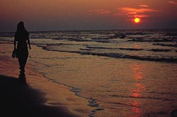 Galveston Beach. Dette bildet utgj&oslash;r omslaget p&aring; UTMBs brosjyre for spesialistutdanning i anestesiologi. Stranden langs&hellip;