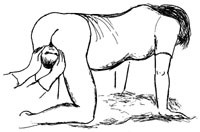 Figur 4  Forl&oslash;sning av skulderdystosi ved at den f&oslash;dende bringes over p&aring; alle fire (kne-h&aring;nd-leie), dermed kan kvinnen&hellip;