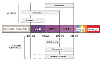 Figur 3   Spektret av elektromagnetiske str&aring;ler som solen sender ut. Modifisert etter Gawkrodger (16)