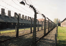 Auschwitz. Alle foto privat