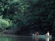 Av og til f&oslash;lte vi oss sm&aring;, omgitt av den h&oslash;ye regnskogen og med nye overraskelser bak hver sving