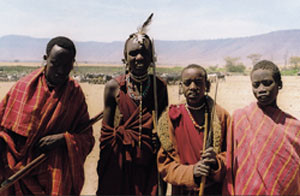 Masaigjeterne, som skremmer l&oslash;ver vekk fra kvegflokken med rop og spyd, Ngorongorokrateret