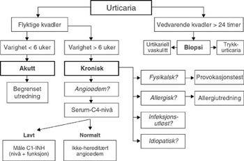 Figur 2   Forslag til diagnostikk ved urticaria og angio&oslash;dem hos barn