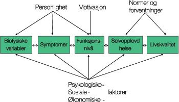 Figur 2   Ulike faktorer som p&aring;virker pasientens opplevelse av helse