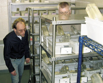 Fors&oslash;ksrotter i oppholdsbur og Lars Sl&oslash;rdal ved Department of Psychology, University of Michigan, Ann Arbor. Foto J&oslash;rgen G&hellip;