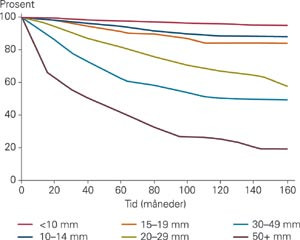 Kumulativ overlevelse etter svulstst&oslash;rrelse i WE-studien (9)