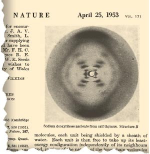 Faksimile fra Franklin & Goslings artikkel i Nature med det ber&oslash;mte bildet av den s&aring;kalte B-formen av DNA.