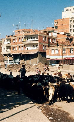 Transittboliger for kurdere p&aring; vei s&oslash;rover. Foto B.O. Hoftvedt