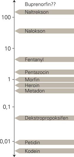 Relativ affinitet til my-reseptorene for ulike opioider beskrevet med morfin som referansestoff. Tallene viser en beregning&hellip;