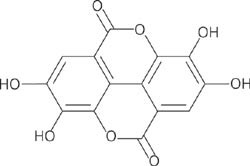 Ellaginsyre, et dimerisk derivat av gallinsyre, finnes i planter bundet til forl&oslash;pere av heksahydroksydifeninsyre eller&hellip;