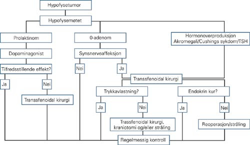 Flytskjema for behandling av hypofyseadenomer. Skjemaet er noe forenklet, men vil gjelde for de fleste pasienter&hellip;