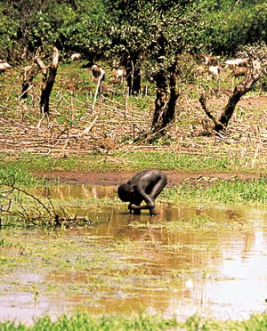 Et barn i Sudan bruker filteret han fikk flere m&aring;neder tidligere, som han kan ha med seg ogs&aring; under flukt og p&aring; tross av&hellip;