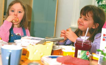 Det trengs mer forskning omkring fordeling av m&aring;ltider utover dagen, sosial setting rundt m&aring;ltider og hvilken type mat som&hellip;