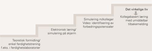 Ulike simuleringsmetoder og overf&oslash;ring til det virkelige liv. Overf&oslash;ringsverdien fra simulering til l&aelig;ring &oslash;ker i tr&aring;d med&hellip;