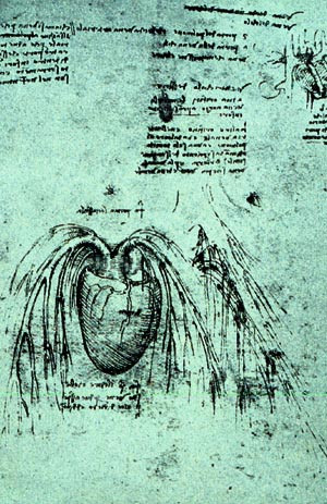 Leonardo da Vincis tegning av hjertet med tilh&oslash;rende blodkar. I Royal Library, Windsor Castle