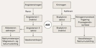 Renin-angiotensin-aldosteron-systemet og oversikt over bradykininmetabolismen. ACE er angiotensinkonvertasehemmere (9)