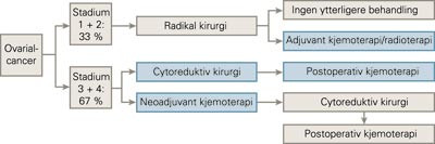 Alternativer for prim&aelig;rbehandling av ovarialcancer. Evaluerte behandlingsmetoder markert med lysebl&aring; bakgrunn