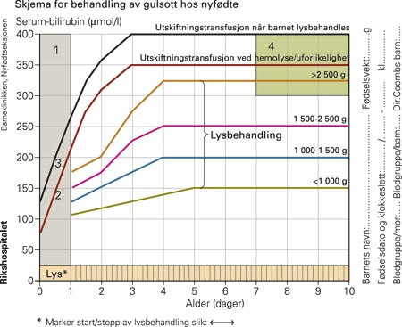 Utsnitt av norsk skjema for behandling av gulsott hos nyf&oslash;dte. Gjengitt med tillatelse fra Nyf&oslash;dtfondet, Barneklinikken,&hellip;