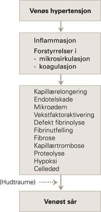 Mekanismer involvert i utviklingen av ven&oslash;se s&aring;r