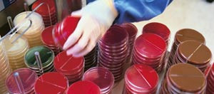 Legeforeningen er sterkt opptatt av kravet om at ansvaret skal v&aelig;re forankret i relevant medisinsk spesialistkompetanse&hellip;