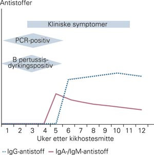 Skjematisk framstilling av symptomer, agensp&aring;visning og antistoffdanning ved prim&aelig;rinfeksjon med kikhoste