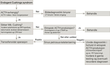 Differensialdiagnostikk av endogent Cushings syndrom