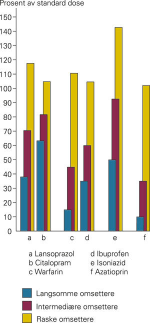 Eksempler p&aring; individualisert dosering ut fra genotype. Fra venstre mot h&oslash;yre viser figuren to legemidler som brytes ned av&hellip;