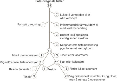 Flytskjema for 61 pasienter utredet og behandlet for enterogenital fistel, hvorav slik kunne verifiseres hos 54; 16&hellip;