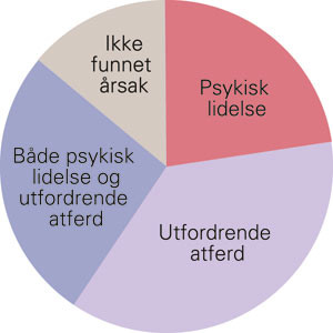 Bakgrunn for medikamentbruk