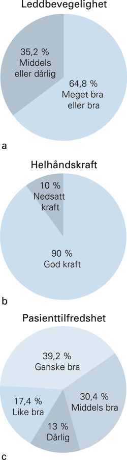 Figur 4  De viktigste resultatene etter operasjon for fleksorseneskade