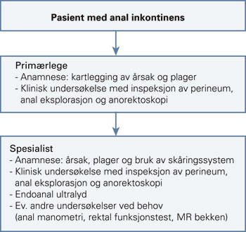 Figur 2  Utredningsalgoritme