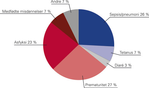 Figur 2  D&oslash;ds&aring;rsaker globalt i nyf&oslash;dttiden i &aring;r 2000&ndash;03 (6)