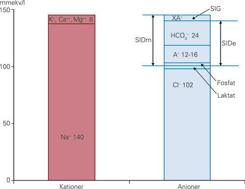 Figur 1  Gamble-diagram med oversikt over involverte ioner og deres betydning for syre-base-balansen. SID: Sterk&hellip;
