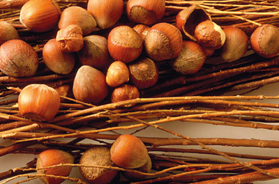 Illustrasjonsfoto Colourbox