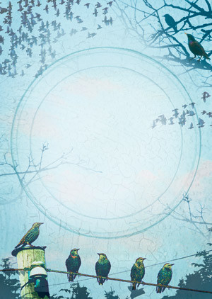 Illustrasjon Stein L&oslash;ken