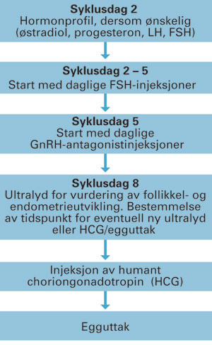 Figur 2  Mal for bruk av GnRH-antagonist ved in vitro-fertilisering. Hormonprofil kan tas p&aring; morgenen syklusdag 2 for &aring;&hellip;