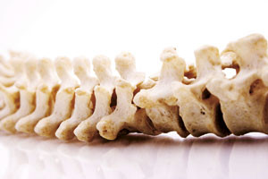 Illustrasjonsfoto Istockphoto