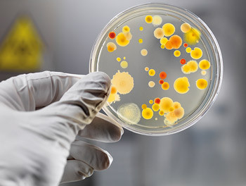 Illustrasjonsfoto Istockphoto