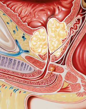SCANPIX/Science Photo Library