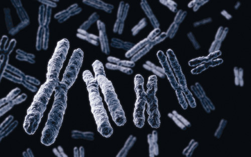 Illustrasjonsfoto Istockphoto